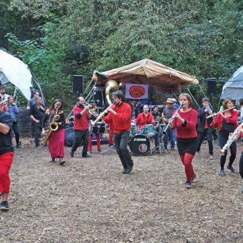 Fête de la Courge 2018